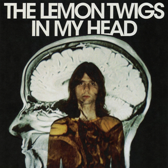 Guild F112 12-String Acoustic (1968-1983) as heard on In My Head by The Lemon Twigs (2023)