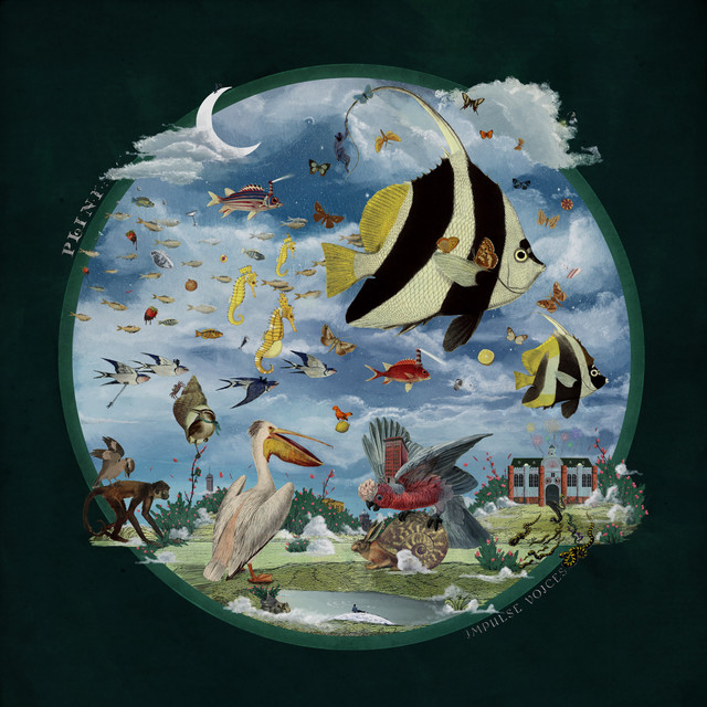 Impulse Voices album cover