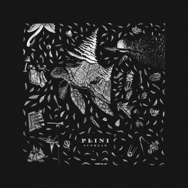 Plini & Plini – Sunhead album cover