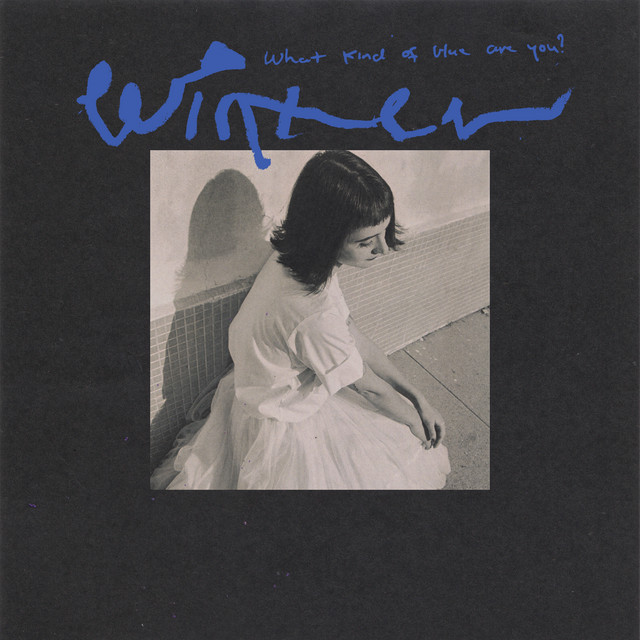 What Kind of Blue Are You? album cover