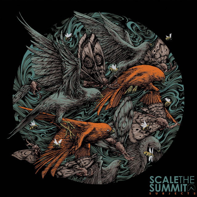Subjects album cover