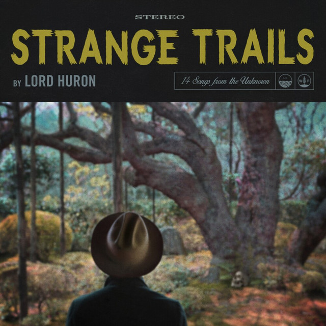 Guild M-65 Freshman Hollowbody as heard on Strange Trails by Lord Huron (2015)