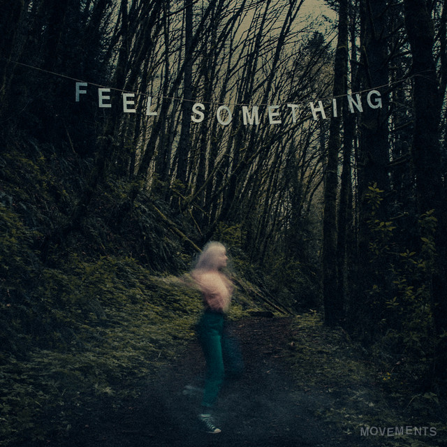 Feel Something album cover