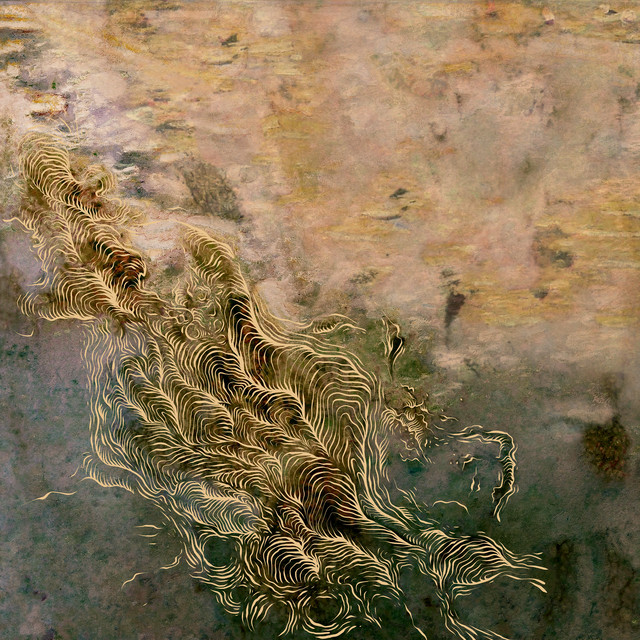 Water, It Feels Like It's Growing album cover