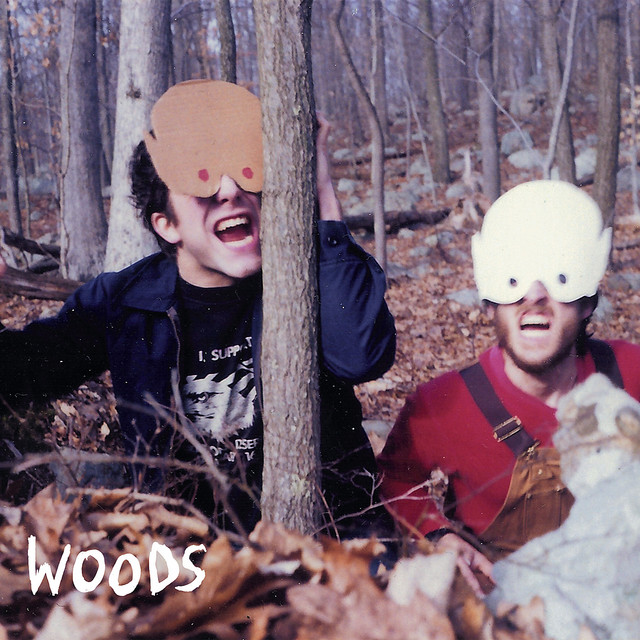 How to Survive In + In The Woods album cover