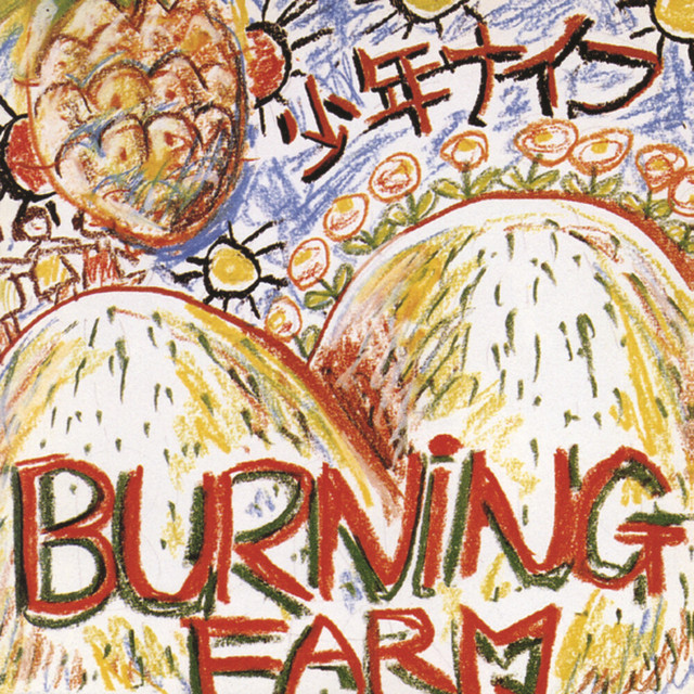 Burning Farm album cover