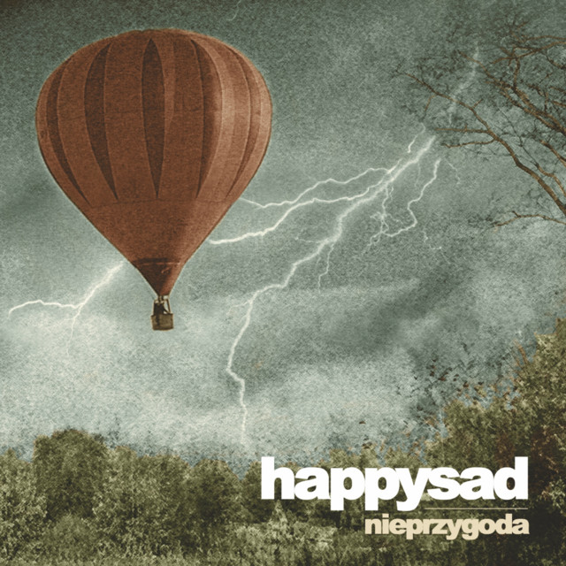 Nieprzygoda album cover