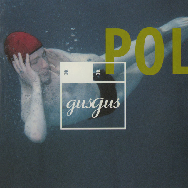 Polydistortion album cover