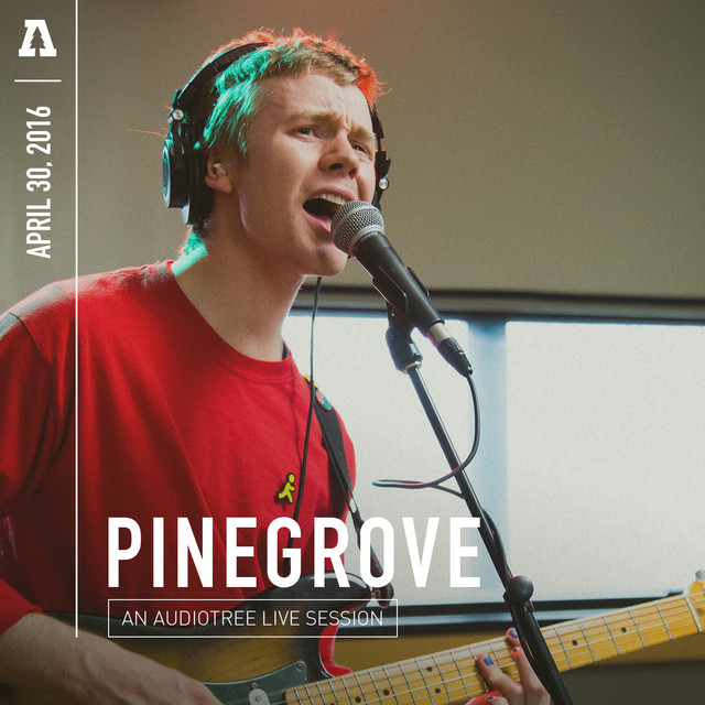 Pinegrove on Audiotree Live album cover