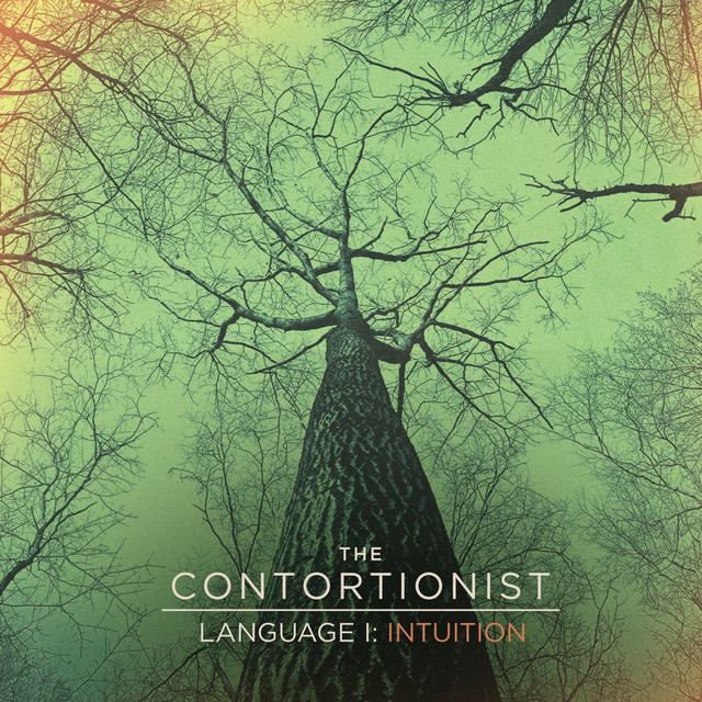 Meinl Byzance Splash as heard on Language I: Intuition by The Contortionist (2014)