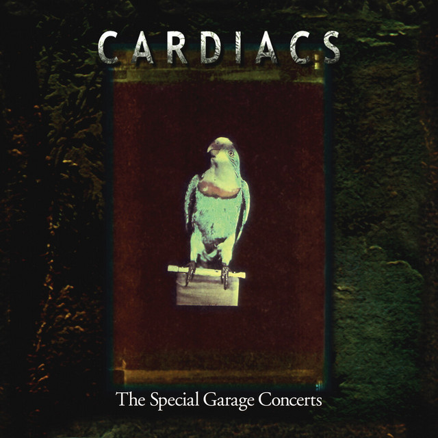 The Special Garage Concerts (Live) album cover