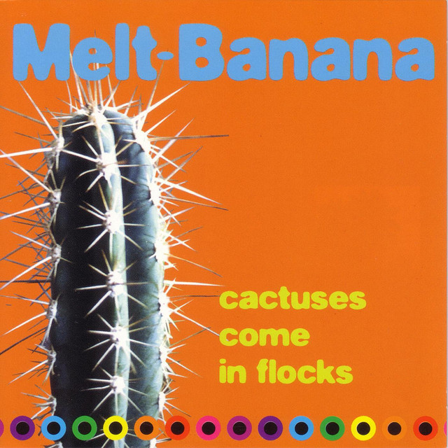 Cactuses Come in Flocks album cover