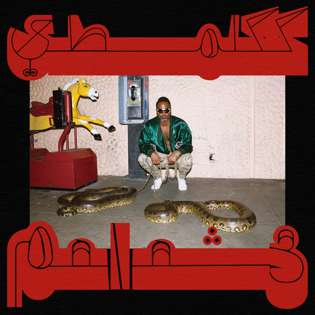 Robed in Rareness album cover