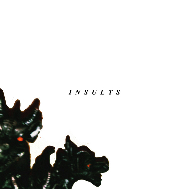 Insults album cover