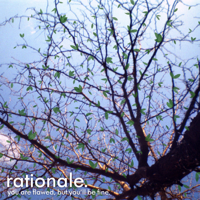 You Are Flawed, but You'll Be Fine. album cover