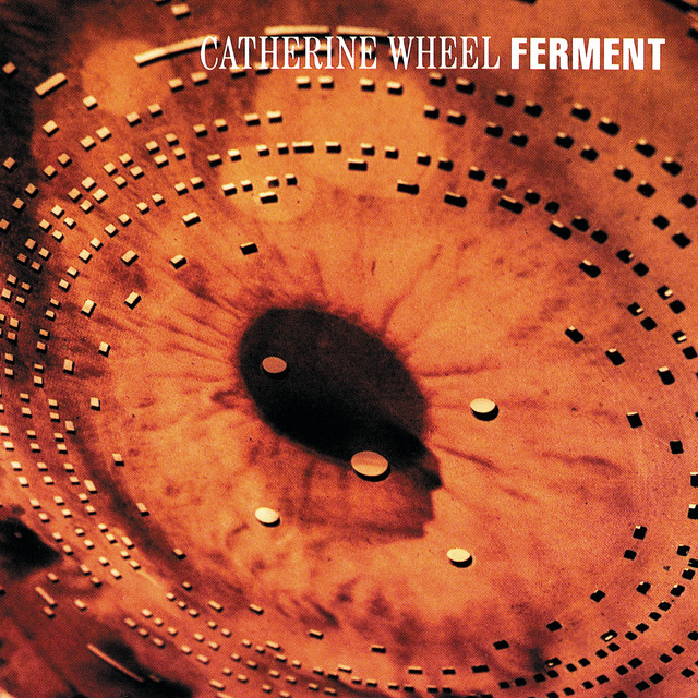 Ferment album cover