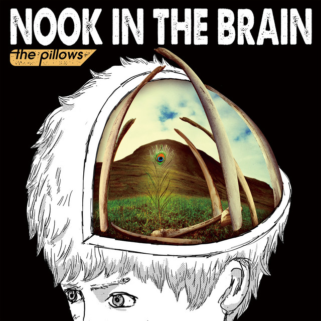 NOOK IN THE BRAIN album cover