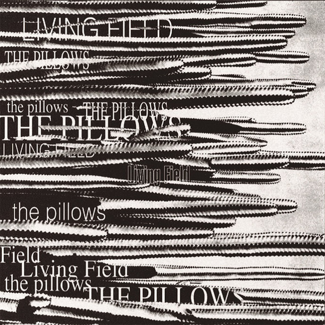 LIVING FIELD album cover