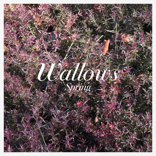 Apple Logic Pro as heard on Spring EP by Wallows (2018)