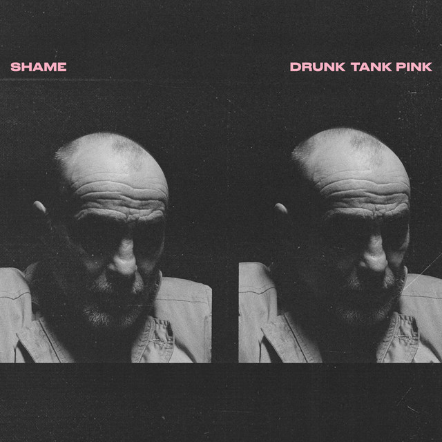 Drunk Tank Pink (Deluxe Edition) album cover