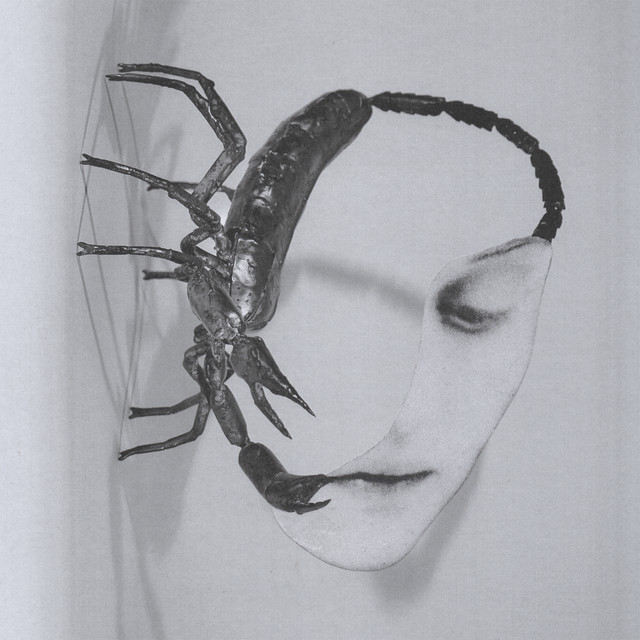 Touch album cover