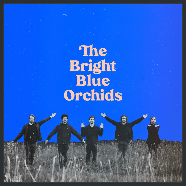 The Bright Blue Orchids album cover