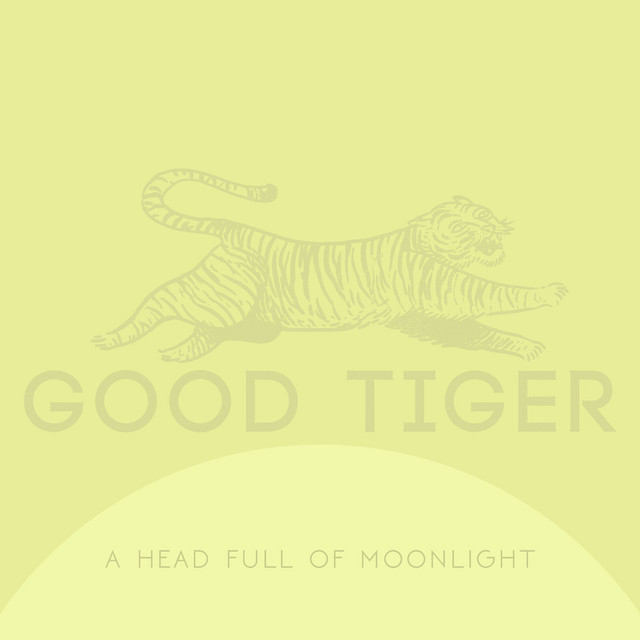 A Head Full of Moonlight album cover