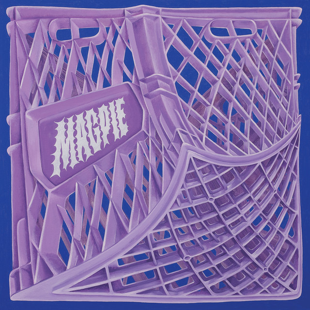 DigiTech FreqOut Natural Feedback Creator as heard on Magpie by Peach Pit (2024)