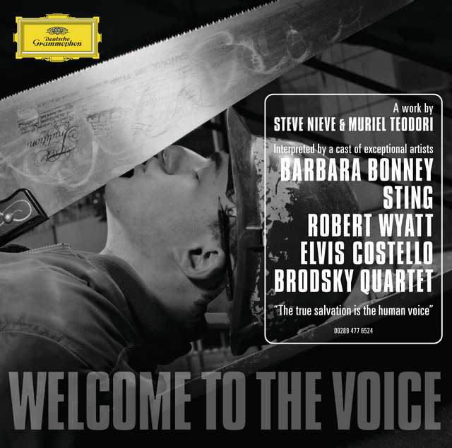 Welcome to the Voice album cover