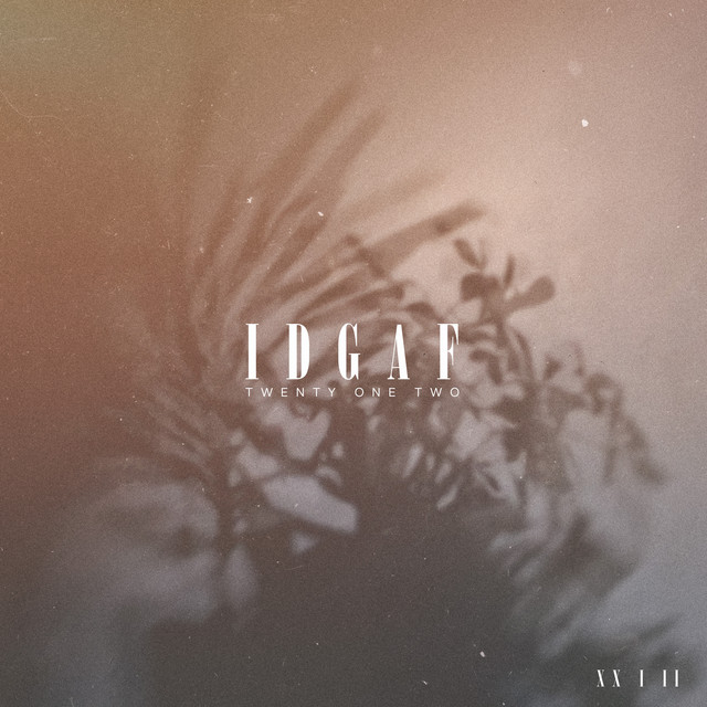 Twenty One Two – IDGAF album cover