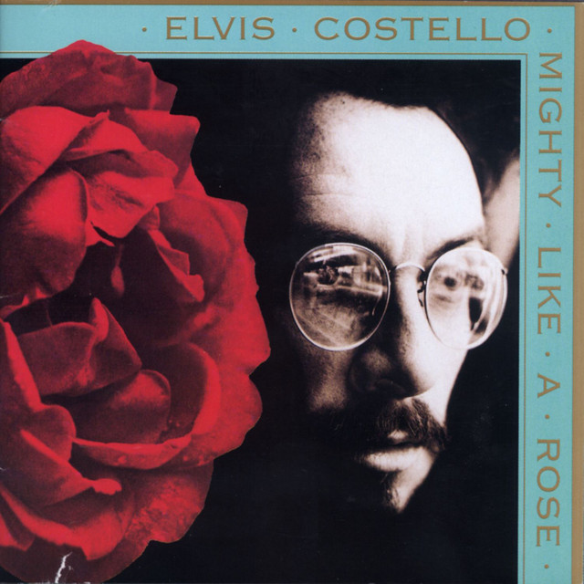 Mighty Like A Rose album cover