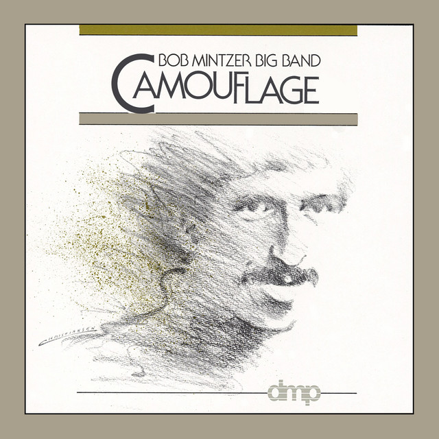 Camouflage album cover