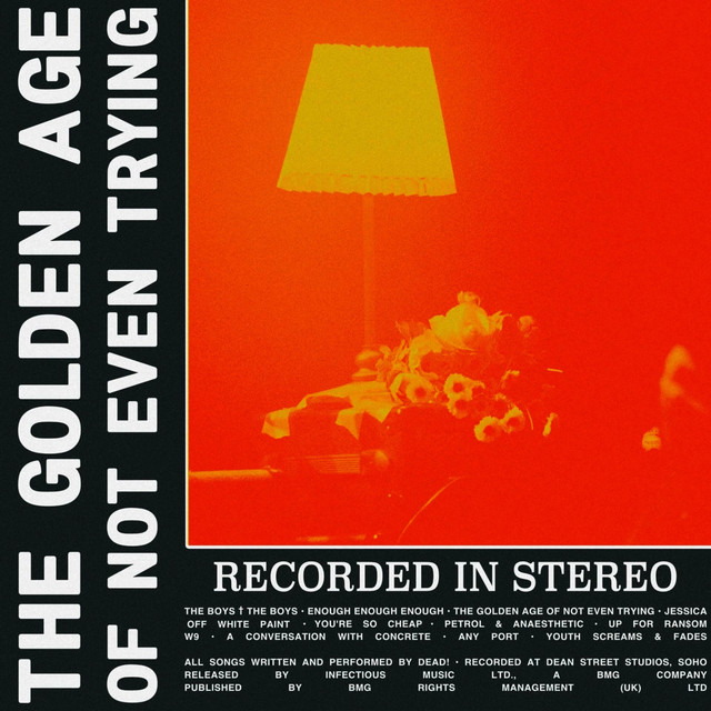 The Golden Age of Not Even Trying album cover