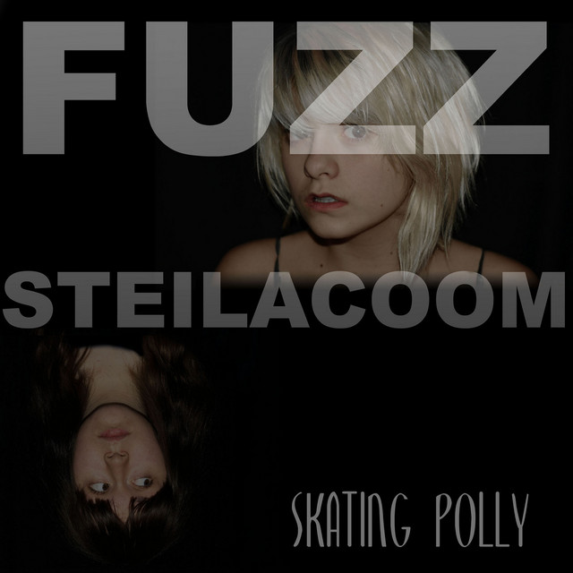 Fuzz Steilacoom album cover