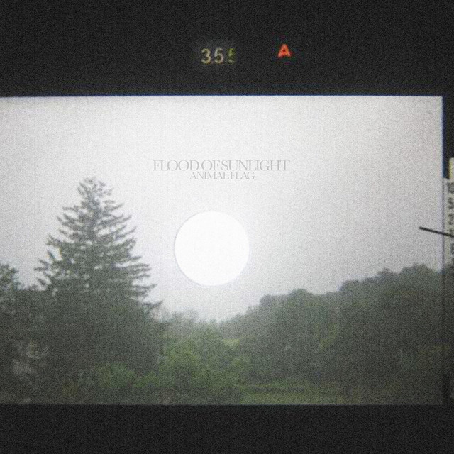 Flood of Sunlight album cover