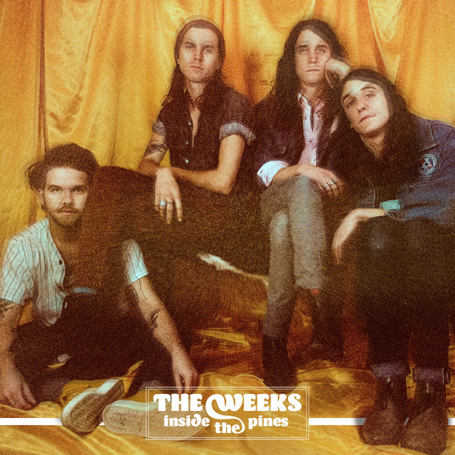 Inside The Pines (Live) album cover