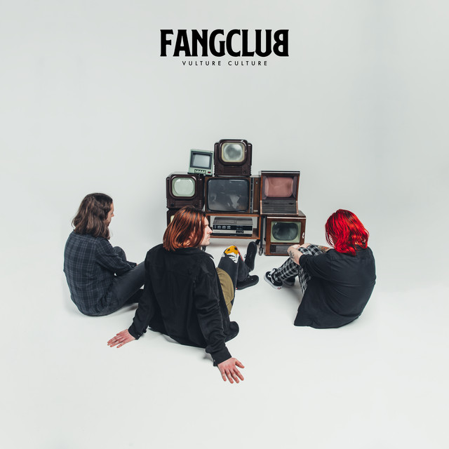 Vulture Culture album cover