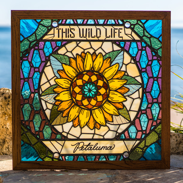 PRS SE Custom 22 as heard on Petaluma by This Wild Life & This Wild Life (2018)