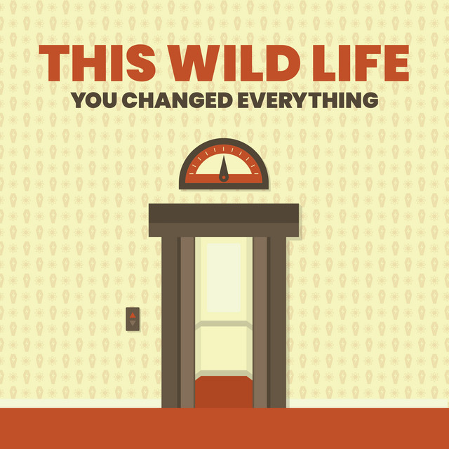 Kyser Quick-Change Capo as heard on You Changed Everything by This Wild Life & This Wild Life (2019)