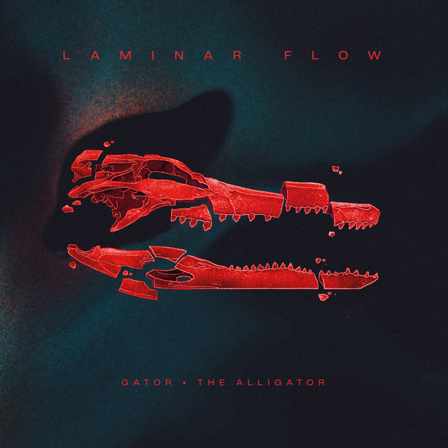 Laminar Flow album cover
