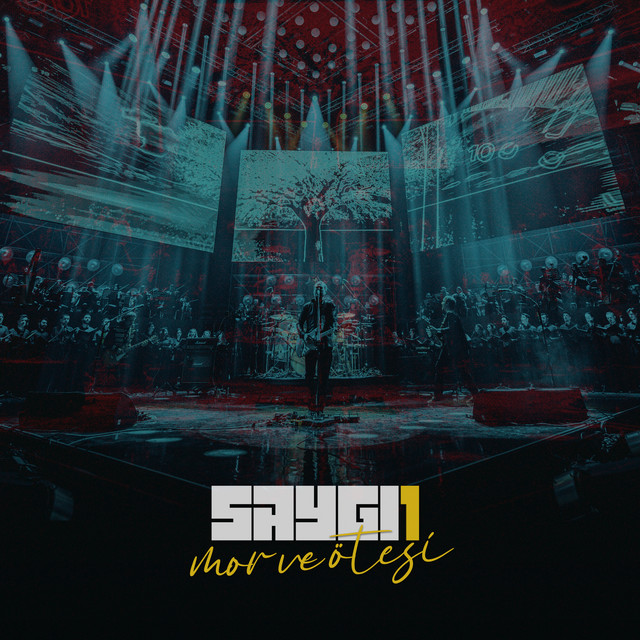 mor ve ötesi (SAYGI1) album cover