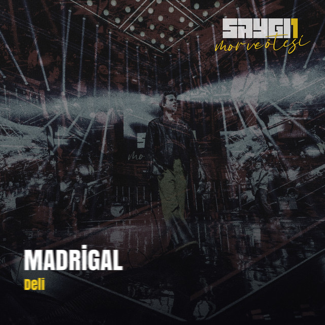 Fender Jag-Stang as heard on Deli (Saygi1) by mor ve ötesi & Madrigal (2025)