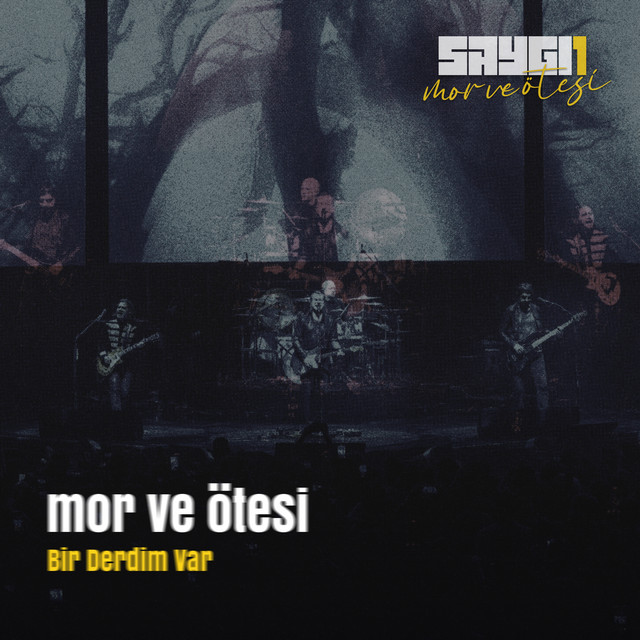 Line 6 DL4 MkII as heard on Bir Derdim Var (Saygi1, Canlı Senfonik) by mor ve ötesi (2025)