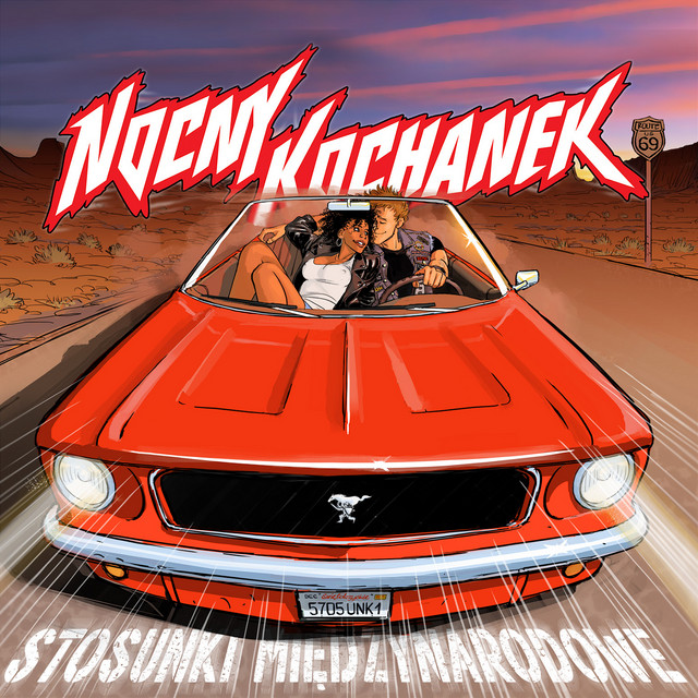 Stosunki Międzynarodowe album cover