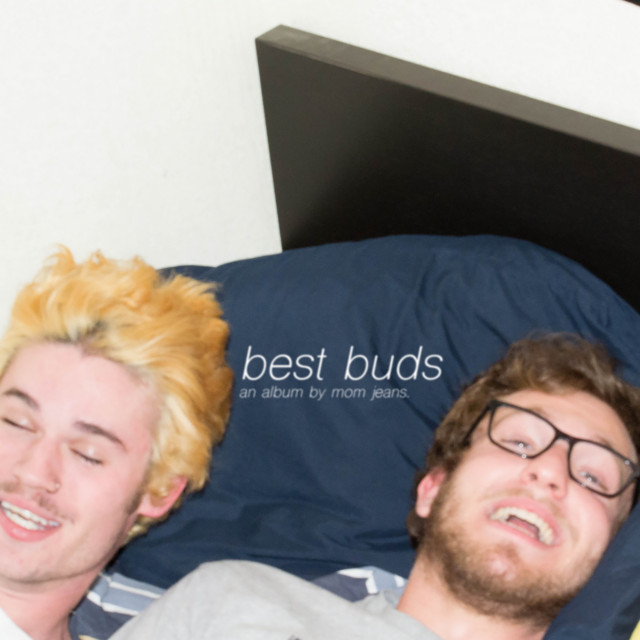 Best Buds album cover
