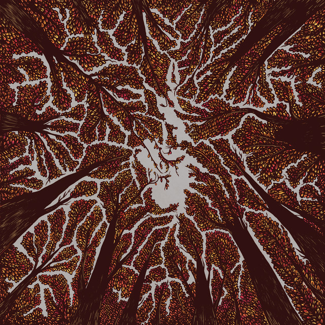 Crown Shyness album cover