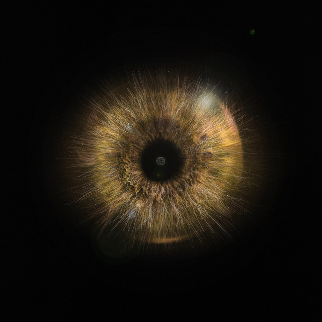Lapso album cover