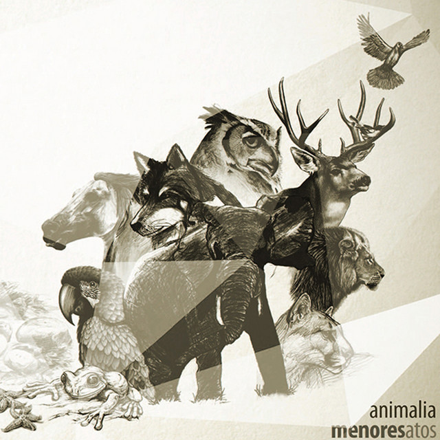 Animalia album cover