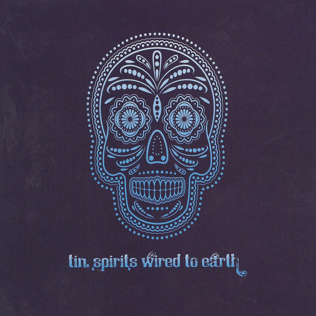 Wired To Earth album cover