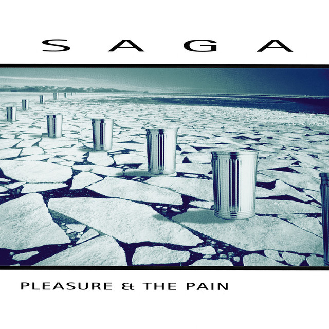 Pleasure and the Pain (2016 Version) album cover